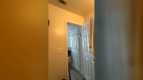 Snapshot of chase2attract chatting on 4, 3, 2026 Chase2Attract online show from 4, 3, 2026