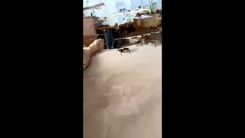 Snapshot of chasejase20333 chatting on 16, 12, 2024 chasejase20333 online show from 16, 12, 2024