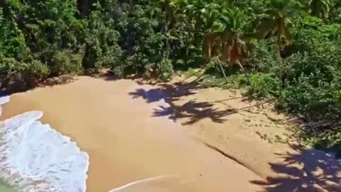 Snapshot of chat_nonnude chatting on 17, 12, 2024 Sam online show from 17, 12, 2024