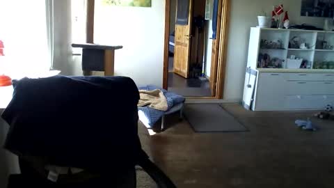 chefben666 online show from 12, 4, 2026