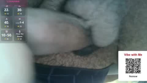 Fun With Daddys Dick Fantacy Room online show from 17, 12, 2025