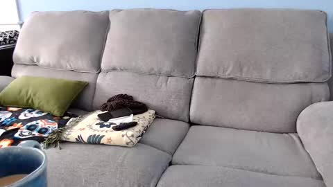 Snapshot of chelseasentra1 chatting on 2, 2, 2026 Chelsea online show from 2, 2, 2026