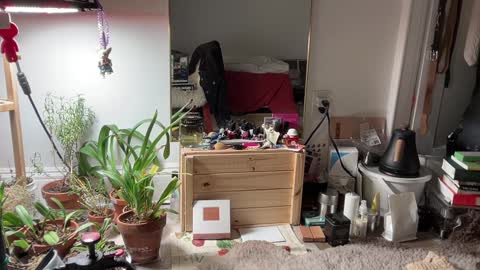 judith online show from 3, 2, 2025