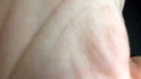 chippytits65 online show from 24, 2, 2025