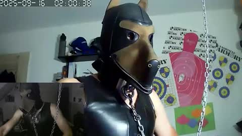 Snapshot of chrisdan_ chatting on 16, 9, 2025 chrisdan_ online show from 16, 9, 2025