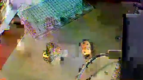 chubbyboy1986 online show from 17, 10, 2025