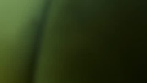 chuckyschick69 online show from 3, 12, 2025