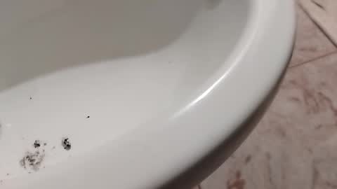 Snapshot of ciccilli chatting on 1, 11, 2025 ciccilli online show from 1, 11, 2025