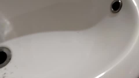 ciccilli online show from 6, 11, 2025