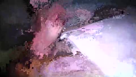Snapshot of cicuta15 chatting on 17, 3, 2026 cicuta15 online show from 17, 3, 2026