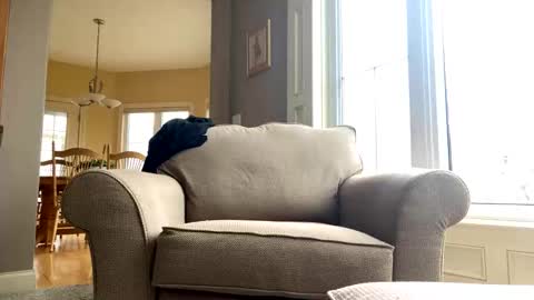 Snapshot of cinapw chatting on 21, 12, 2024 cinapw online show from 21, 12, 2024