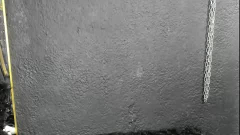 Snapshot of cintyarose chatting on 26, 2, 2026 cintyarose online show from 26, 2, 2026