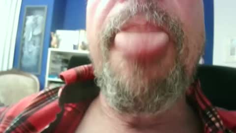 Snapshot of circus_bear chatting on 20, 2, 2026 Circus Bear online show from 20, 2, 2026