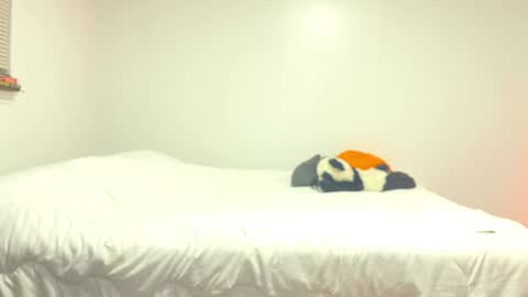 citoz online show from 2, 12, 2024