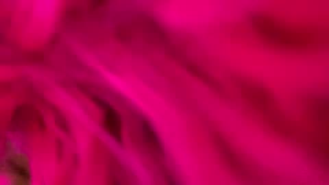 Snapshot of clarkshammer95 chatting on 3, 3, 2025 clarkshammer95 online show from 3, 3, 2025