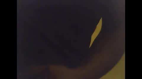 Snapshot of cobra1092 chatting on 2, 2, 2026 cobra1092 online show from 2, 2, 2026