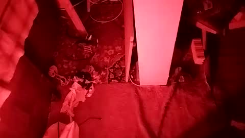 Cocolino  online show from 12, 4, 2026