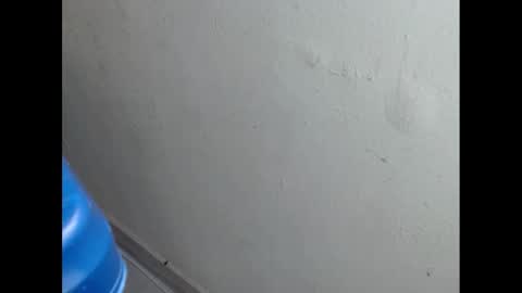 Snapshot of cockfanx chatting on 21, 2, 2025 cockfanx online show from 21, 2, 2025