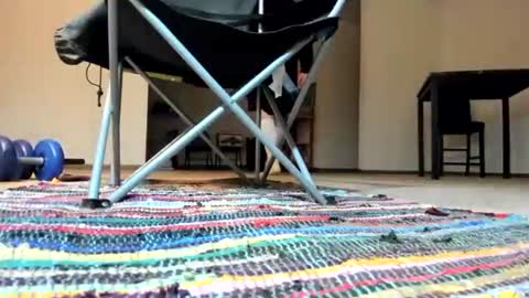 Gorgeous online show from 3, 1, 2025