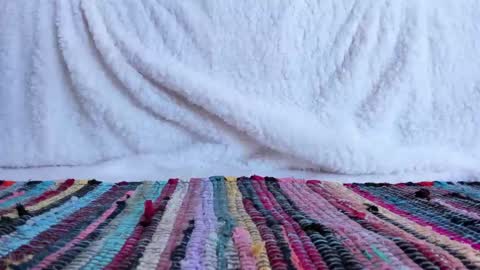 Snapshot of cocknholestar chatting on 18, 2, 2025 Gorgeous online show from 18, 2, 2025