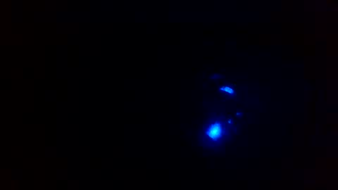 cocksmithog online show from 13, 12, 2024