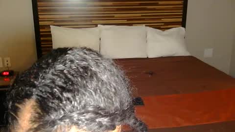 chanel online show from 2, 3, 2026