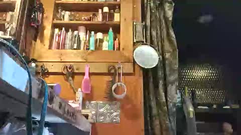 cody14213827 online show from 1, 6, 2026