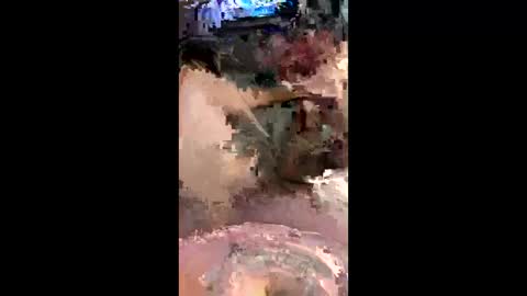 codyadams21 online show from 6, 12, 2024