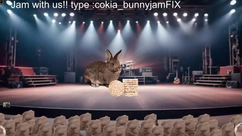 Cokia online show from 5, 12, 2024