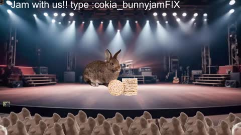 Cokia online show from 17, 12, 2024