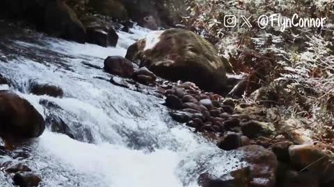 Connor Flyn online show from 12, 12, 2024