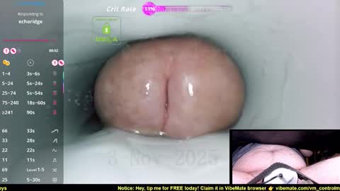 Control online show from 3, 11, 2025