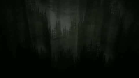 Cool Dude online show from 21, 12, 2024