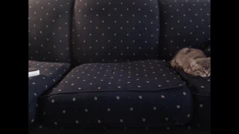 copper_crotch online show from 19, 12, 2025