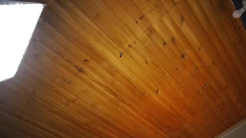 Coraline online show from 14, 4, 2026