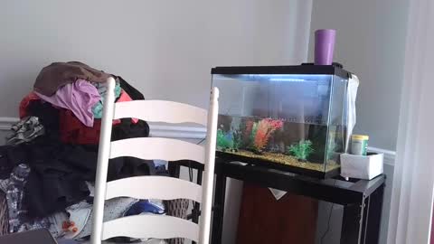 Snapshot of countrylovin2018 chatting on 4, 3, 2025 Fallen Angel 21 online show from 4, 3, 2025