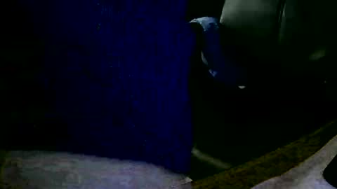 coyote017 online show from 31, 1, 2025