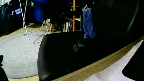 coyote017 online show from 1, 2, 2025