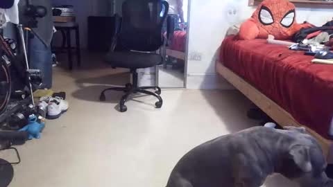 drbucknaked online show from 16, 4, 2026