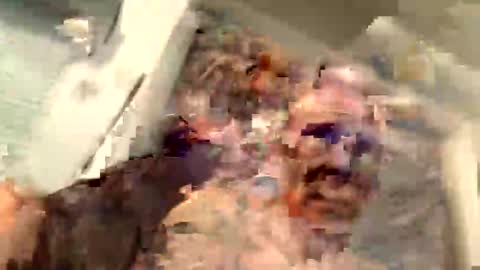 Snapshot of critterick6674 chatting on 31, 3, 2026 critterick6674 online show from 31, 3, 2026