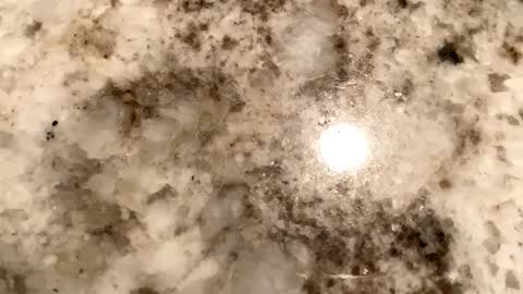 Crushit online show from 6, 2, 2025