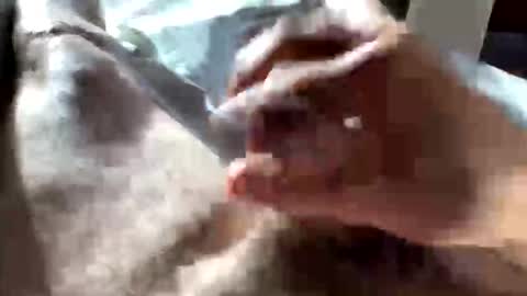 Crushit online show from 10, 1, 2026