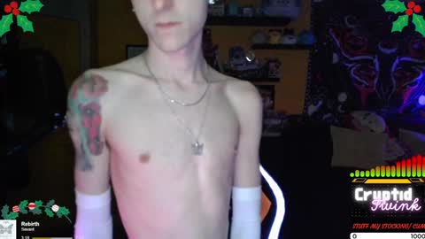 Snapshot of cryptidtwink chatting on 24, 12, 2024 CryptidTwink online show from 24, 12, 2024