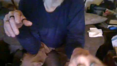 Snapshot of cunnibob chatting on 2, 3, 2025 cunnibob online show from 2, 3, 2025