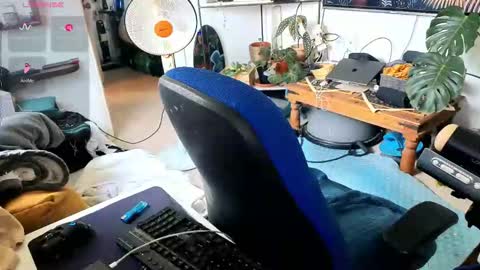 curiousgenie online show from 30, 3, 2026