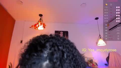 Rose online show from 12, 11, 2025