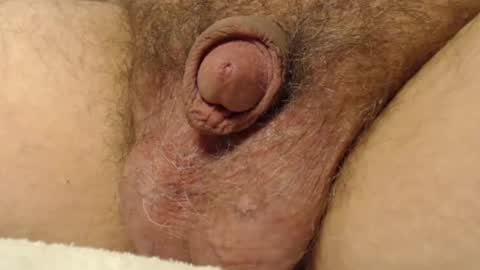 curve66 online show from 17, 11, 2025