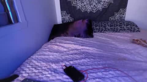 Snapshot of curvybcelinemixe chatting on 2, 3, 2025 Cline  online show from 2, 3, 2025