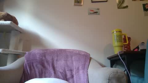 Snapshot of curvycate127 chatting on 21, 1, 2025 Cate online show from 21, 1, 2025