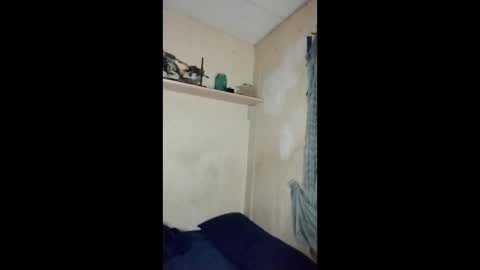 Lucifina ganja kittens online show from 7, 1, 2026